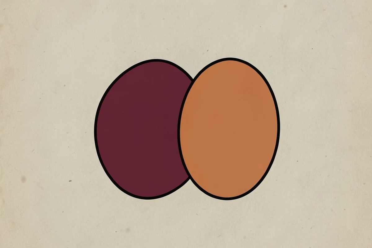 A simple abstract mark of two overlapping rounded shapes in the site's own palette, without any coin, token, or brand symbolism